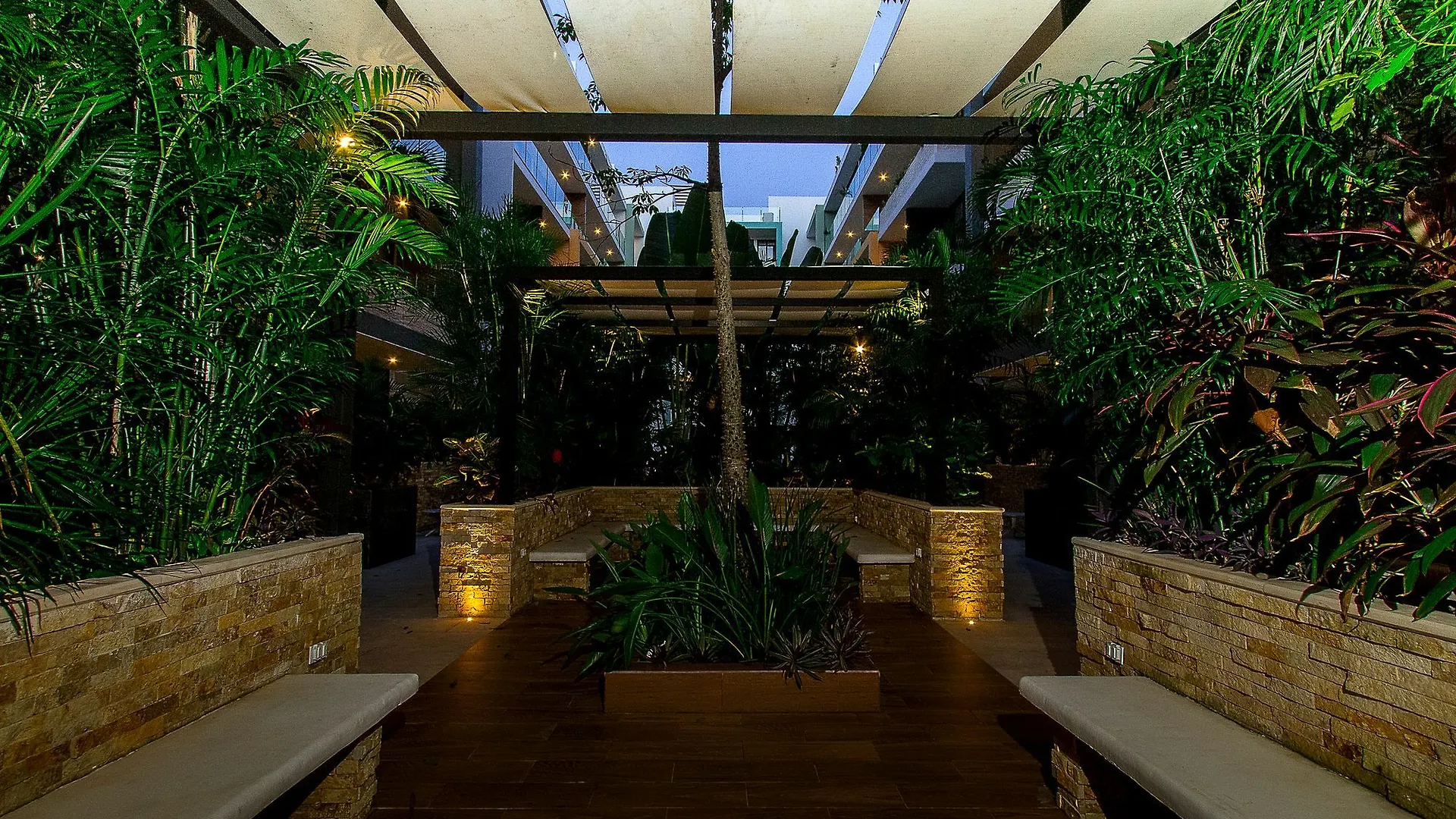 The City 1221 By Imexico Playa del Carmen